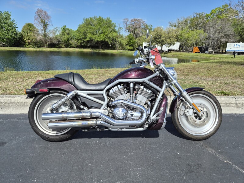 VRSCA 2005 V-Rod®