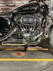 HD Sportster 1200 Custom Hd1 Base 2014 BLACK thumb 2