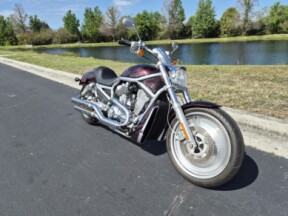 VRSCA 2005 V-Rod® thumb 2