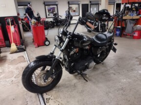 XL 1200X 2010 Forty-Eight® thumb 1