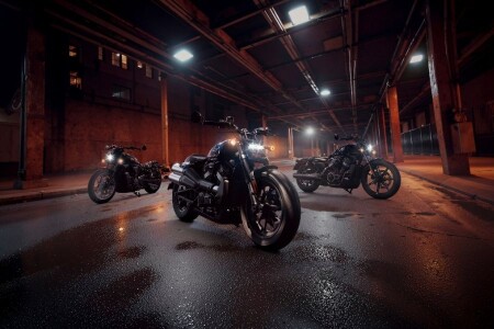 Solo vs. Group Riding: Which One Is Right for You?