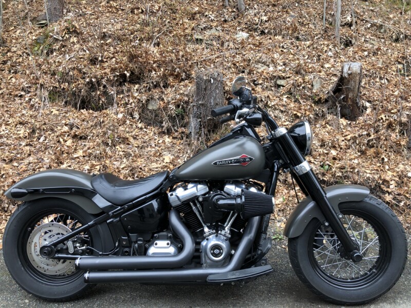 2018 Harley-Davidson® Softail Slim® Industrial Gray Denim