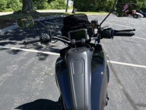 2025 Harley-Davidson® Pan America® 1250 ST RA1250ST thumb 0