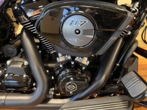 FLTRX 2026 Road Glide® thumb 2