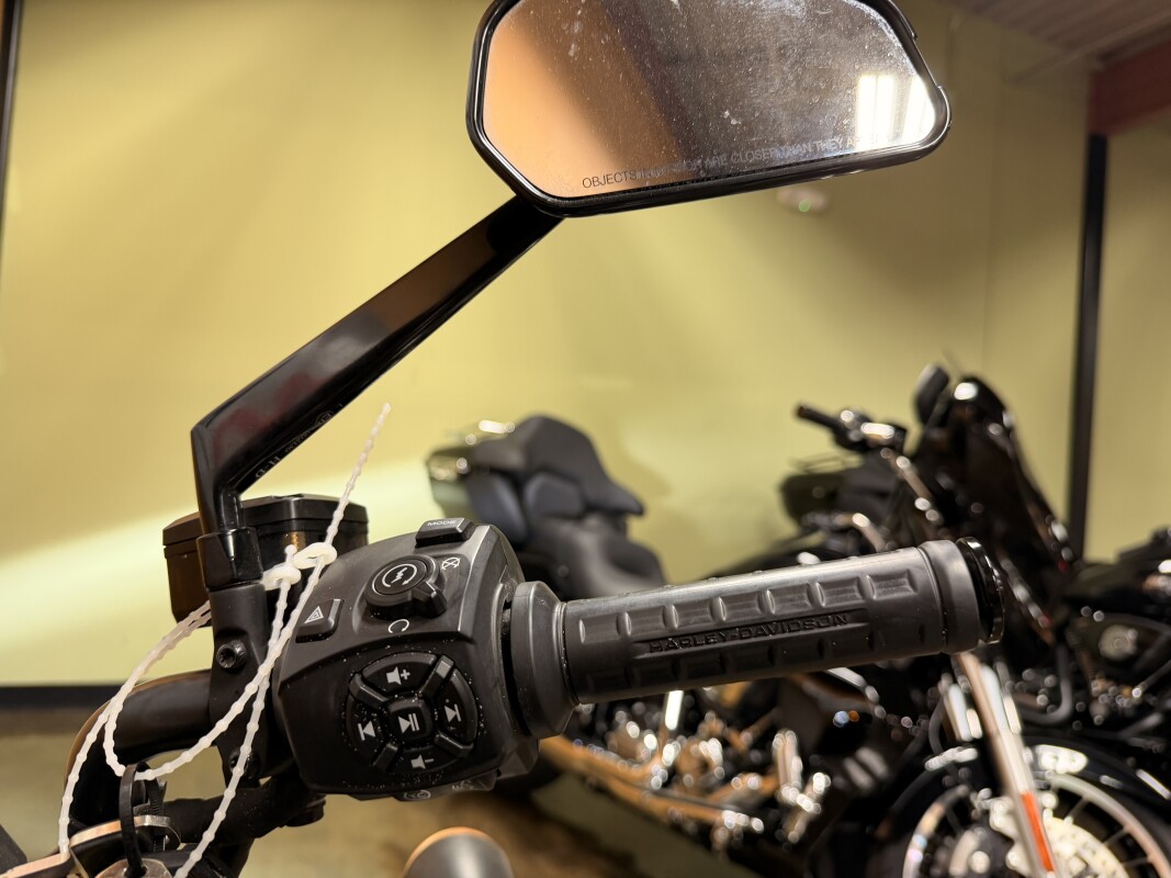 RH1250S 2023 Sportster® S, photo 10