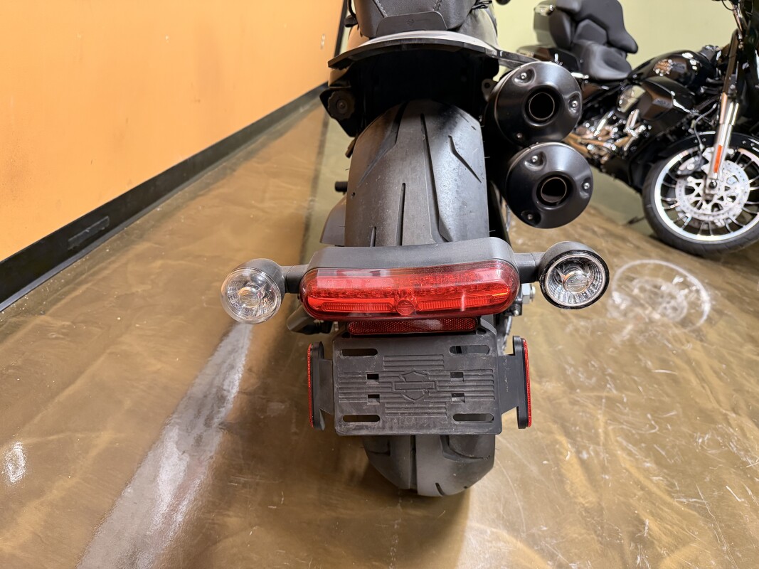 RH1250S 2023 Sportster® S, photo 7