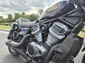 RH975S 2023 Nightster™ Special thumb 3