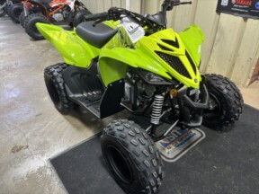  2026 Raptor 110 thumb 2