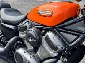 RH975S 2024 Nightster™ Special thumb 3