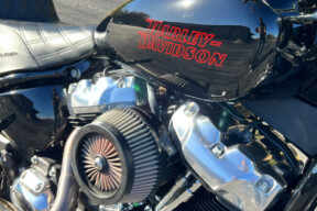 2024 Harley-Davidson® Softail™ Standard FXST thumb 3