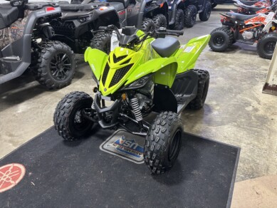  2026 Raptor 110