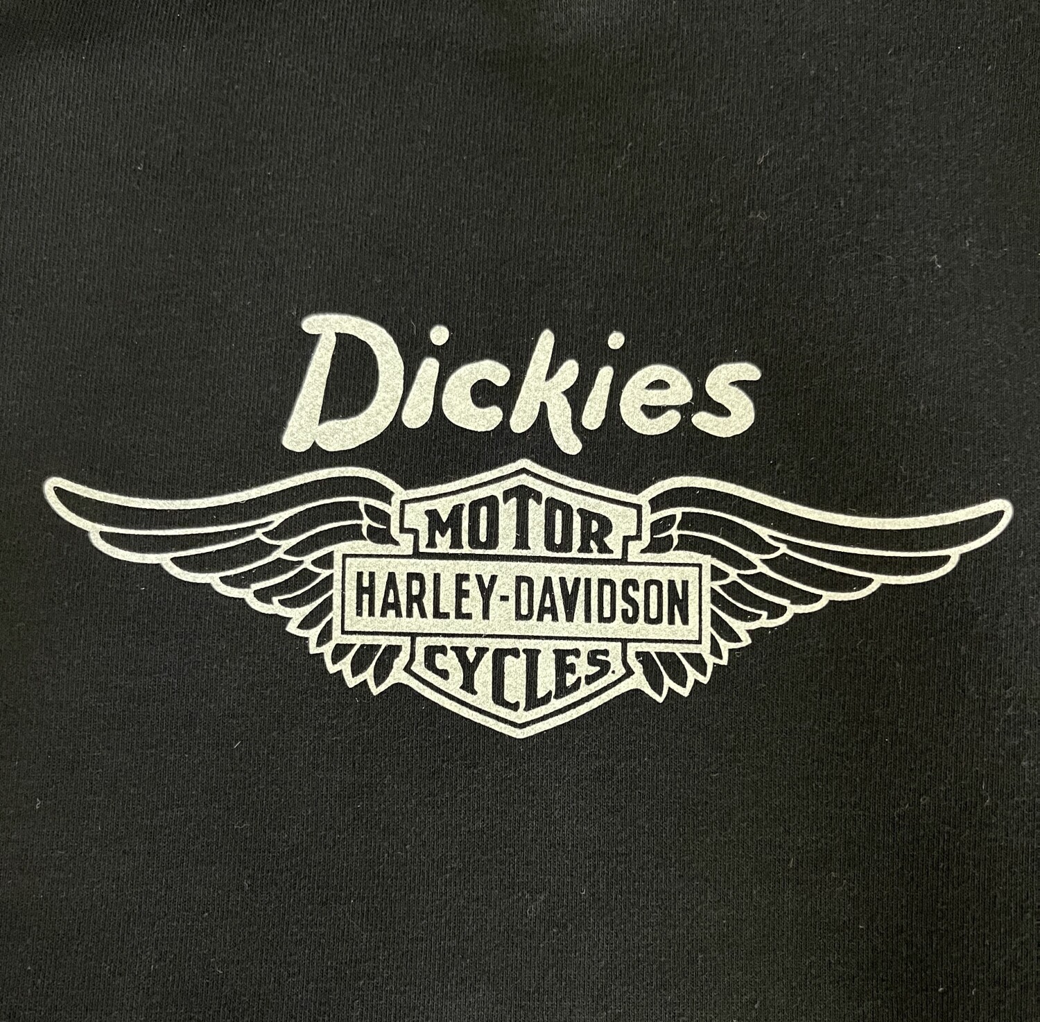 a9006cc561da494e2eac85de88e021ec_1dfe4ce120e2d5ac.jpg