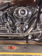 Harley-Davidson® Softail® Deluxe 2009 FLSTN LT/DK ROOT BEER thumb 2