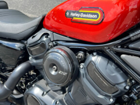 RH975S 2025 Nightster™ Special thumb 3