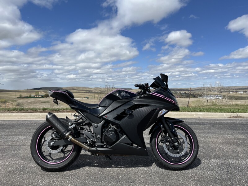2013 Kawasaki Ninja® 300