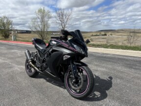 2013 Kawasaki Ninja® 300 thumb 3