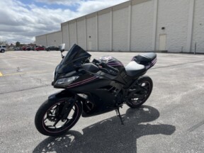 2013 Kawasaki Ninja® 300 thumb 1