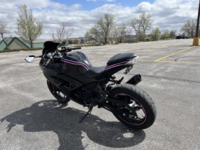2013 Kawasaki Ninja® 300 thumb 0
