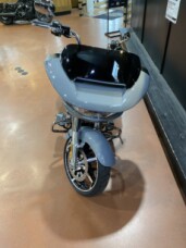 FLTRX 2026 Road Glide® thumb 1