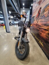 2013 Harley-Davidson® Softail Slim® Black Denim FLS103 thumb 1