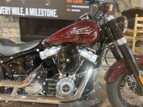 2020 FLS - SOFTAIL SLIM thumb 2