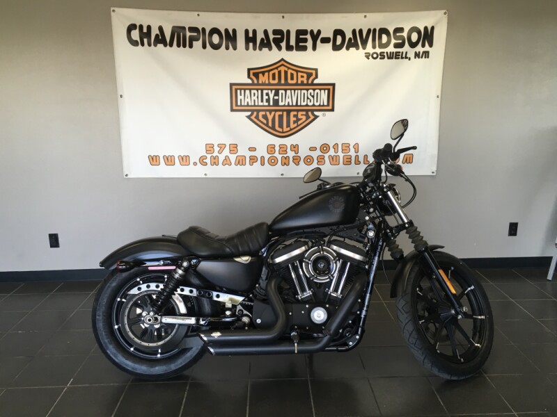 Iron 883™