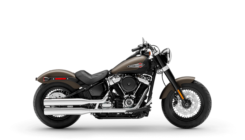 FLSL 2021 Softail Slim®