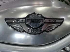 2003 Harley-Davidson® V-Rod® Anodised Aluminium thumb 1