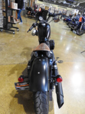 Harley-Davidson® Iron 883™ 2019 XL 883N BLACK thumb 0