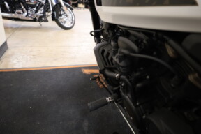 RH1250S 2021 Sportster® S thumb 2
