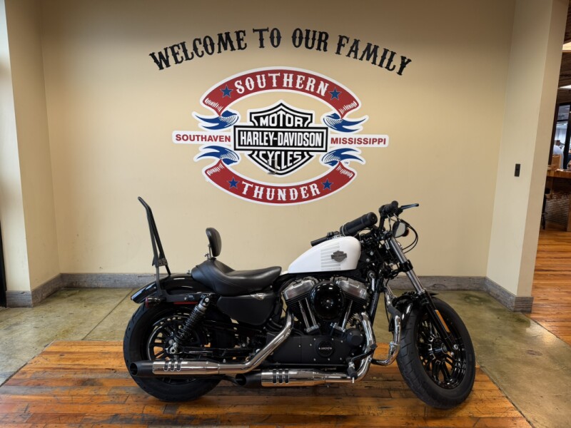 2017 Harley-Davidson® Forty-Eight® Crushed Ice Denim