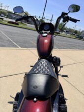 2019 H-D XL 1200NS Iron 1200cc thumb 0