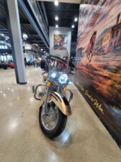 2003 Harley-Davidson® Screamin’ Eagle Road King Centennial Gold and Vivid Black with Gold Leaf Graph thumb 1