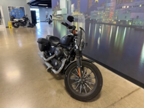 XL 883N 2013 Iron 883™ thumb 1