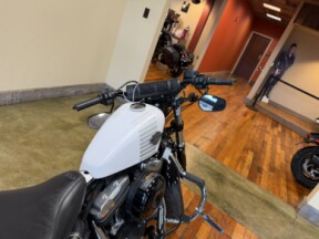 2017 Harley-Davidson® Forty-Eight® Crushed Ice Denim thumb 1