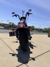 2019 H-D XL 1200NS Iron 1200cc thumb 2