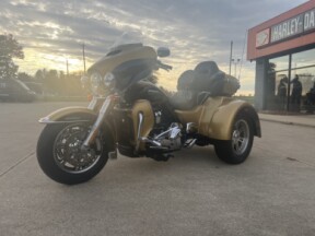 2017 Harley-Davidson® Tri Glide® Ultra Two-Tone Black Hills Gold/Black Quartz thumb 1