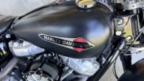 2020 Harley-Davidson® Softail Slim® thumb 3