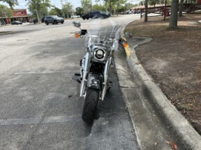 2024 Harley-Davidson® Fat Boy® 114 Billiard Gray thumb 2