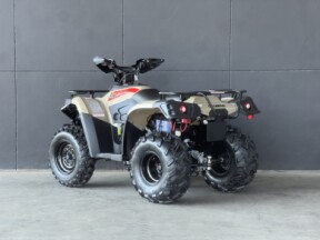 2026 LINHAI 300 SPORT 2X4 BROWN thumb 0
