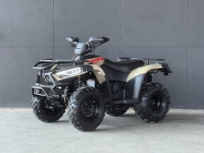 2026 LINHAI 300 SPORT 2X4 BROWN thumb 2
