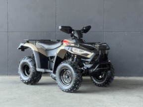 2026 LINHAI 300 SPORT 2X4 BROWN thumb 3