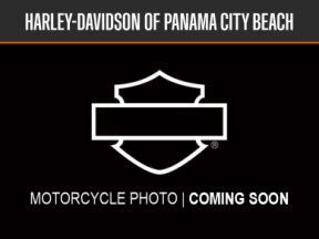 2020 Harley-Davidson® Street Glide® Special thumb 3