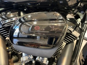 Street Glide thumb 2