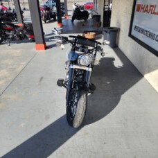 FLSL 2019 Softail Slim® thumb 3
