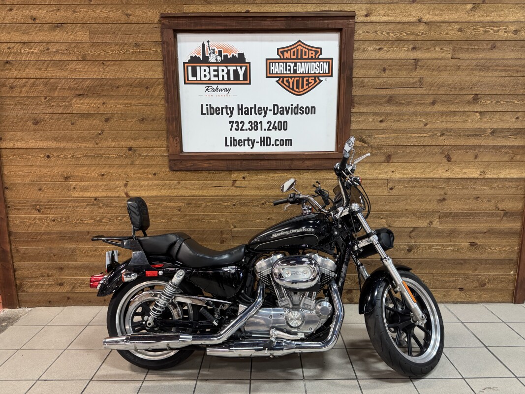 2016 Harley-Davidson® Roadster™ Vivid Black & Charcoal Denim