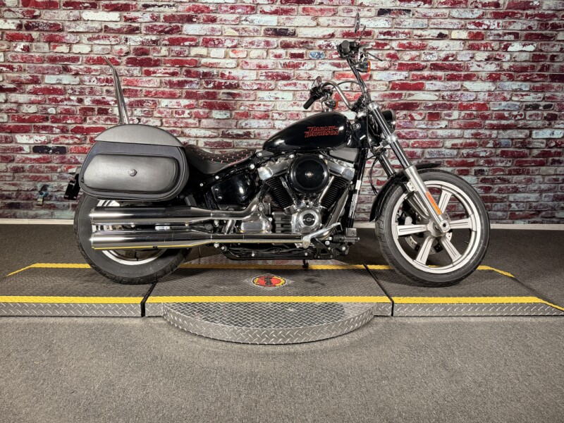 FXST 2023 Softail® Standard