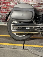 FXST 2023 Softail® Standard thumb 0