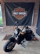 2018 Harley-Davidson® Forty-Eight® Special Billiard White thumb 1