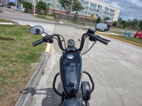 XL 1200NS 2019 Iron 1200™ thumb 0